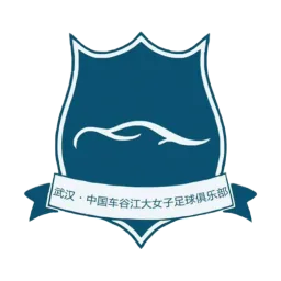 武汉车谷江大女足 武汉车谷江大女足