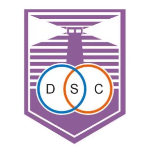 德芬索后备队 德芬索后备队